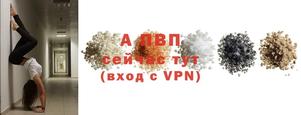 сатива Нея