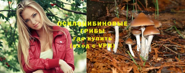сатива Нея